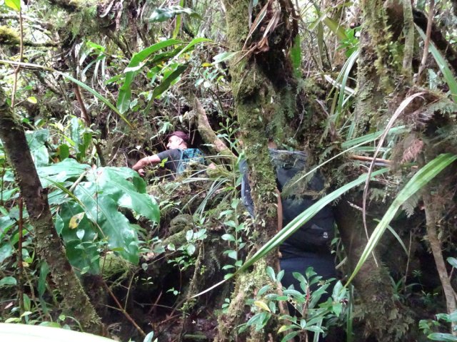 Ne pas chercher de balises peintes sur les arbres. Il n'y en a pas