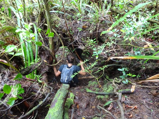 Nouvelle descente très sportive pour revenir à la rivière