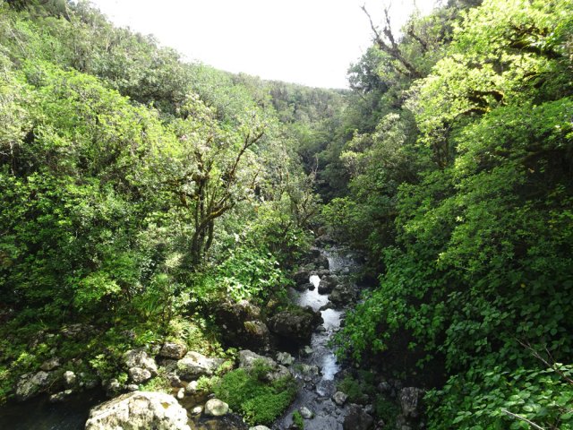 La vallée verdoyante du Bras Laurent depuis le haut de la chute