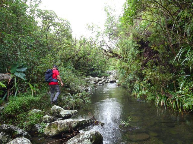 Le reste de la remontée du bras s'effectue en le longeant