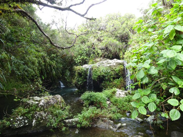 Nouvel endroit enchanteur se contournant en rive gauche