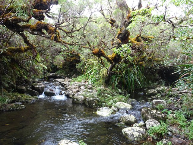 Un nouvel affluent. Prendre à droite le Bras Laurent qui perd 50% de son eau