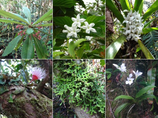 Immersion en pleine nature malgré les envahissantes