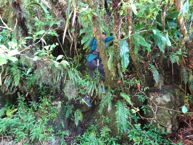 Forte descente pour se rendre au Bras Laurent dans le fond de la vallée