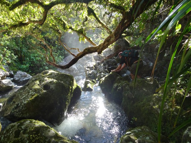 Suivre le bras vers l'aval pour rejoindre la première cascade