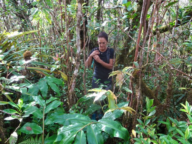 Plus on monte et plus la trace est difficile à suivre