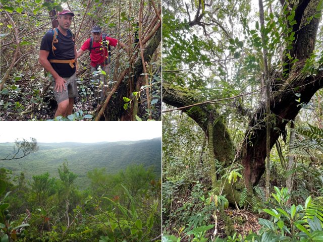 Quelques étapes lors de la descente du retour