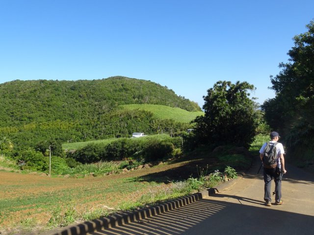 Un peu de goudron à partir des premières habitations