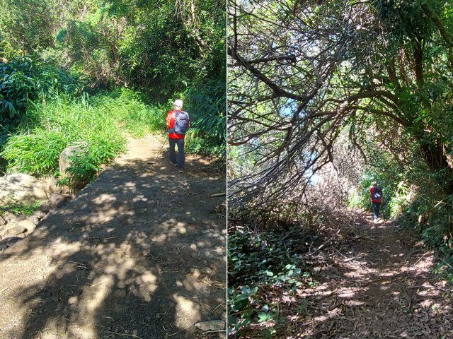 Traversée à gué de la Ravine de l'Anse et chemin un peu encombré