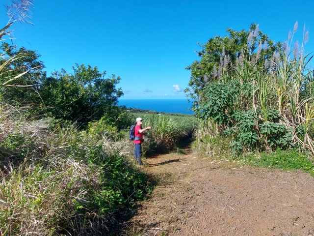 Partir à gauche au grand pied de chandelle