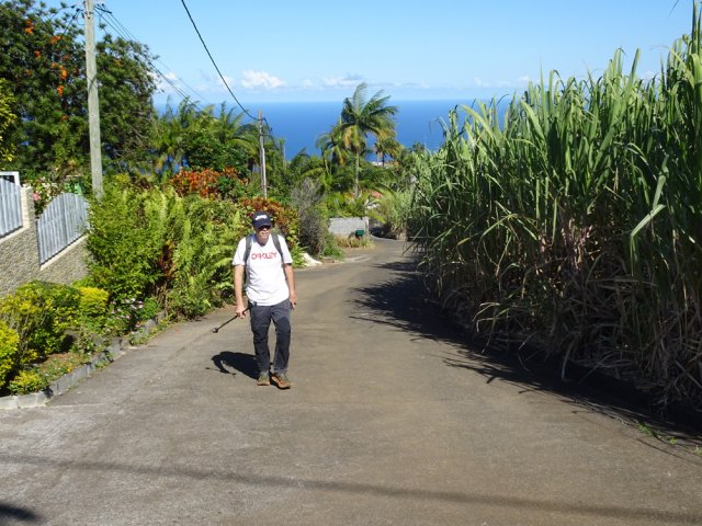 La Rue des Fanjans en pente, entre habitations et canne à sucre