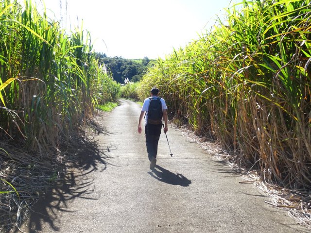 La montée raisonnable sur une route très calme, sans circulation