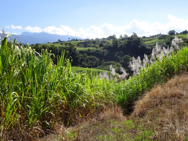 Point de vue vers le Gros Morne et le Grand Bénare