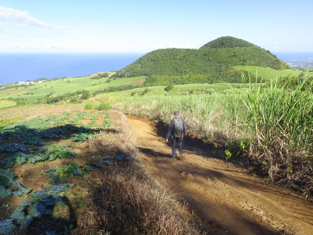 On quitte très vite la route pour les premières pistes dans les cannes