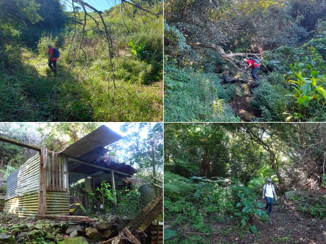Lieu de vie abandonné à deux pas de la Source du Petit Cana