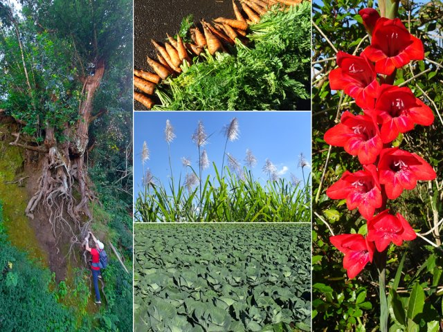 Prendre le temps d'observer la nature