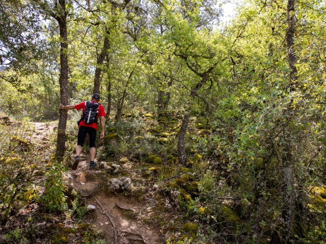 Rude montée dans les pierres moussues en direction de l'ermitage