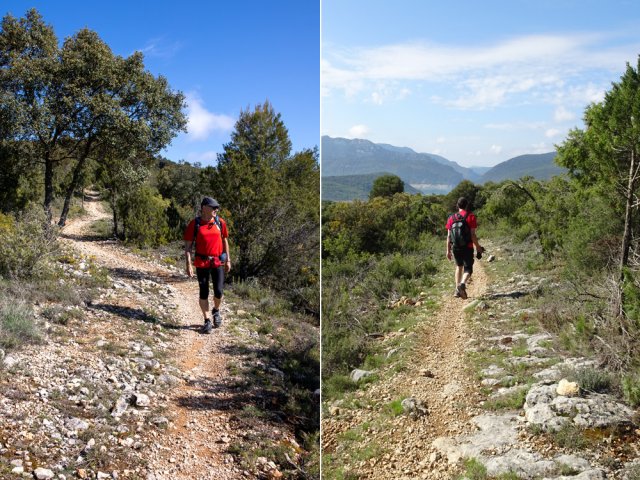 On rencontre un sentier remontant vers les truffières et vers l'auberge de Montfalco