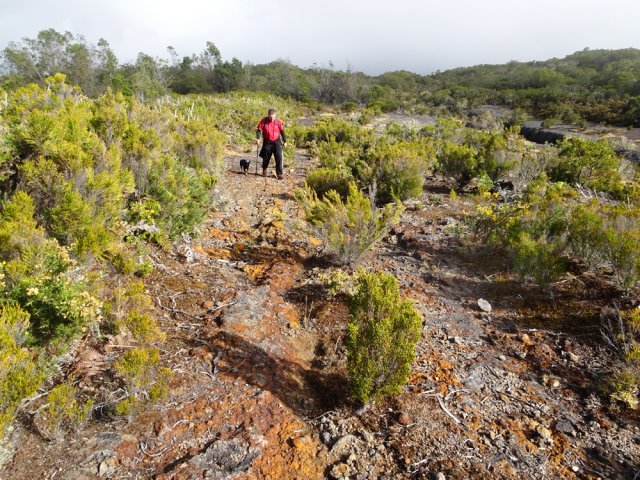 La remontée vers la RF des 1800 s'effectue sur l'ancienne piste Bernica VTT n° 9