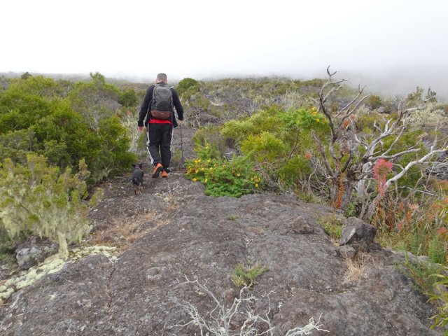 Il y a toujours un passage, quitte à délaisser la ravine de quelques mètres