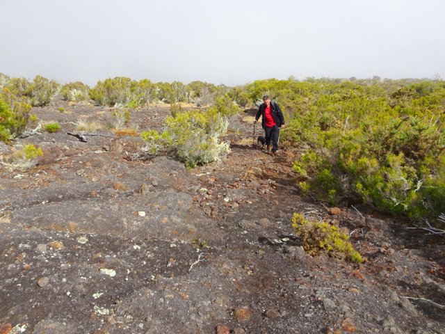 Nombreuses zones dénudées à l'approche de l'observatoire