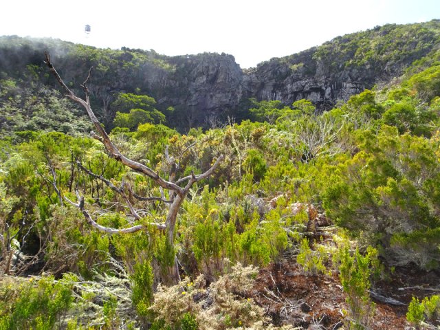 Vue imprenable sur la cratère du Piton Bernica