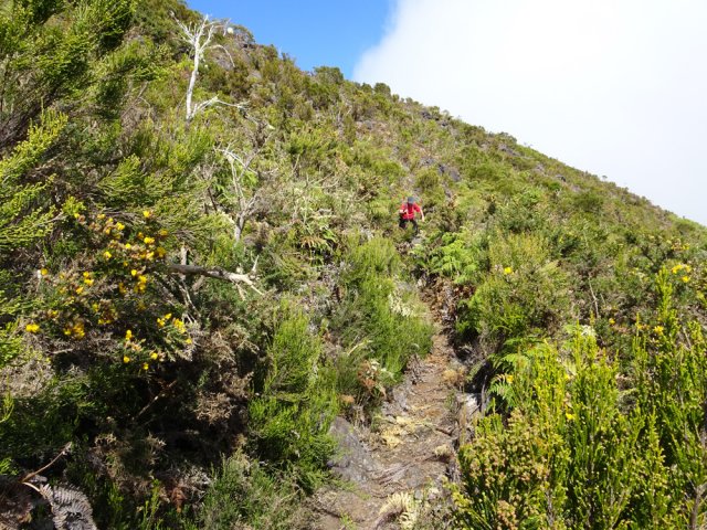Le sentier rocheux reliant le Piton Bernica à l'aire de pique-nique