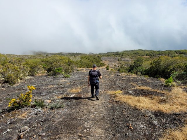 Impossible de perdre la trace sur la piste VTT n° 6. Attention aux vélos !