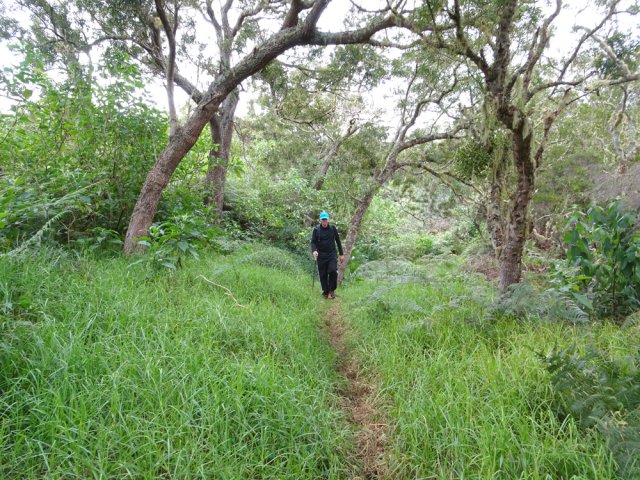 Début de la descente du magnifique sentier Lygdamis