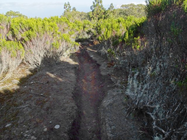 Plus haut, le sentier est creusé dans la terre par les passages des pneus