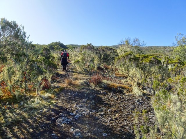 Paysage classique des alentours de la piste des 1800
