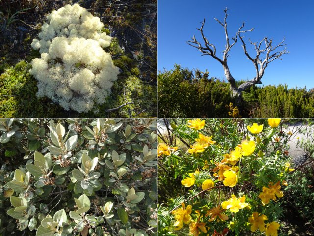 Profiter au passage de ce que propose la nature