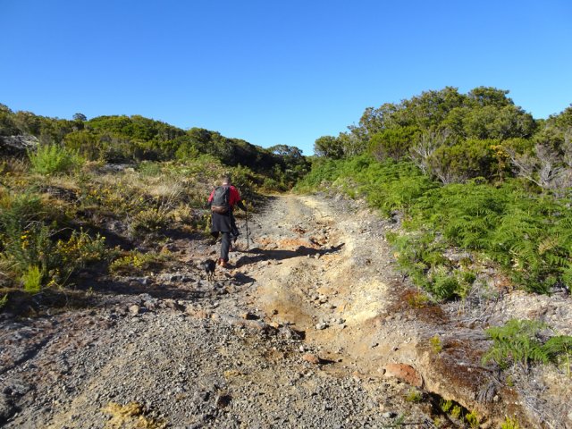 Jonction facile avec la Ravine la Source en empruntant la piste caillouteuse