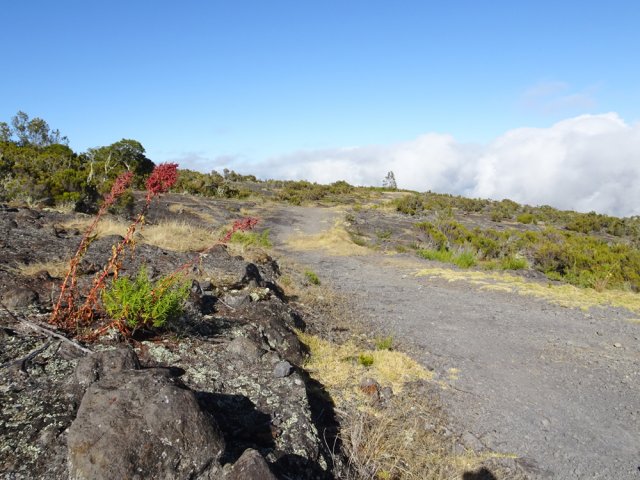 Aucune difficulté sur la piste totalement plate