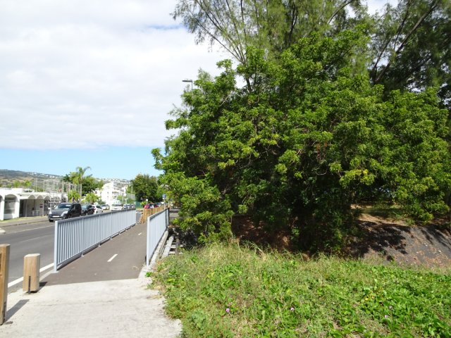 Franchir ce petit pont pour poursuivre