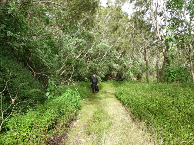 La très agréable piste Baptiste recouverte d'herbe
