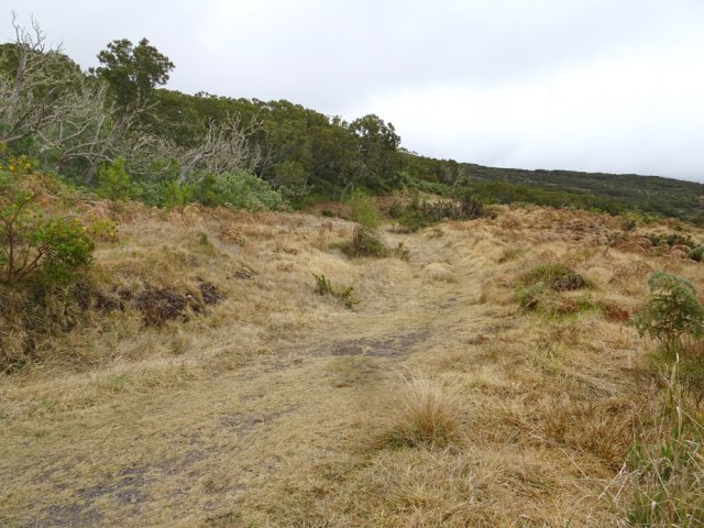 On coupe bientôt la PF des 1800 Nord
