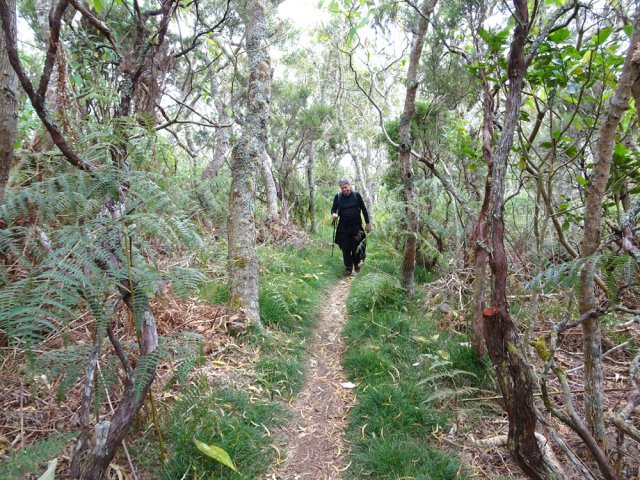 Une partie plate avant d'arriver à une zone basaltique dénudée