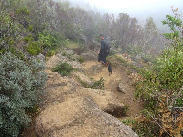 Quelques zones rocheuses en bordure du rempart