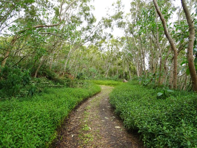 Tout aussi agréable, la piste remontant vers la PF Omega