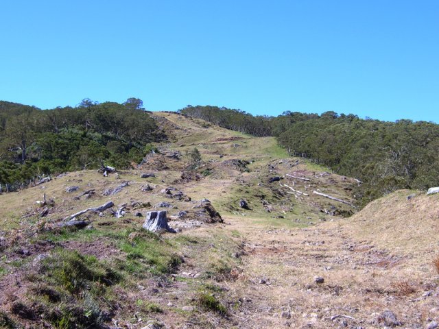 Aucune difficulté pour la descente de la Piste Forestière Tête Dure