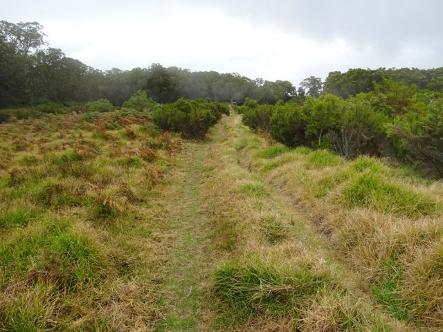 Emprunter, chaque fois que c'est possible, le sentier VTT qui coupe les lacets