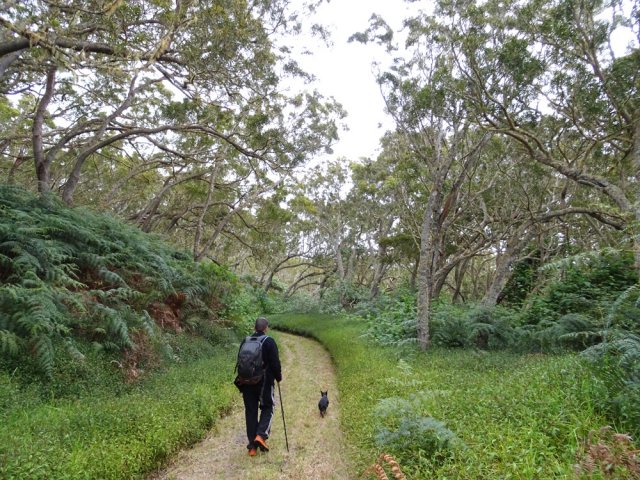 La piste est souvent en très bon état