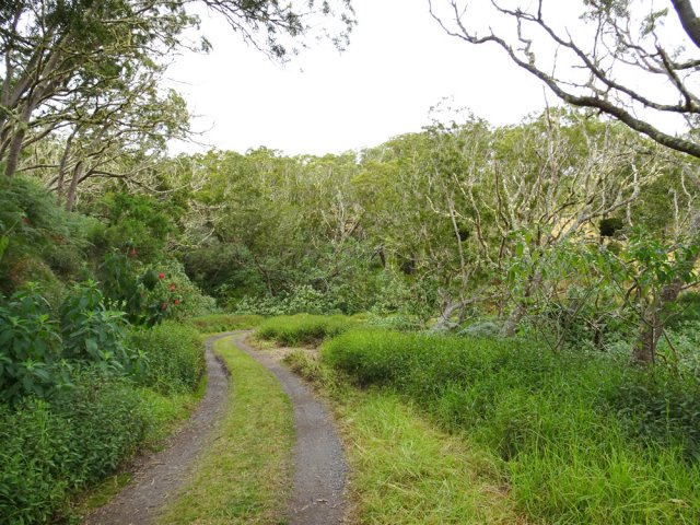 Emprunter la PF Omega vers la droite