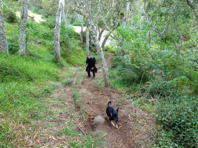 La montée est immédiate sur les traces de pneus