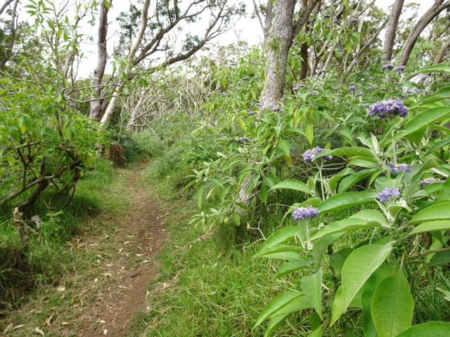 La pente devient plus faible par moments