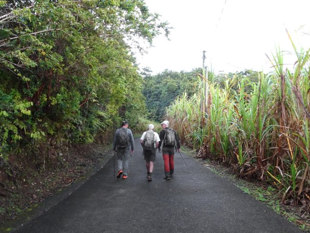 Comme souvent, il faudra emprunter une portion de route