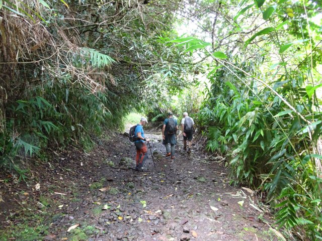 La suite du parcours paraît bien large après cette descente dans les bois