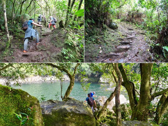 Fortes montées et descentes pour s 'approcher du Bassin des Aigrettes