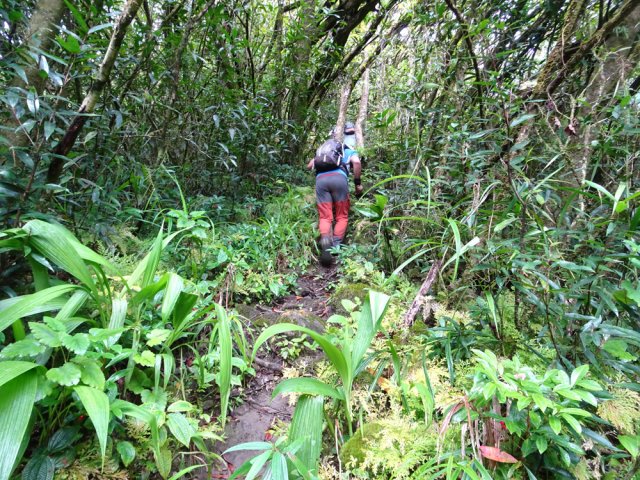 Nouvelle forte montée pour se rapprocher du haut de la cascade